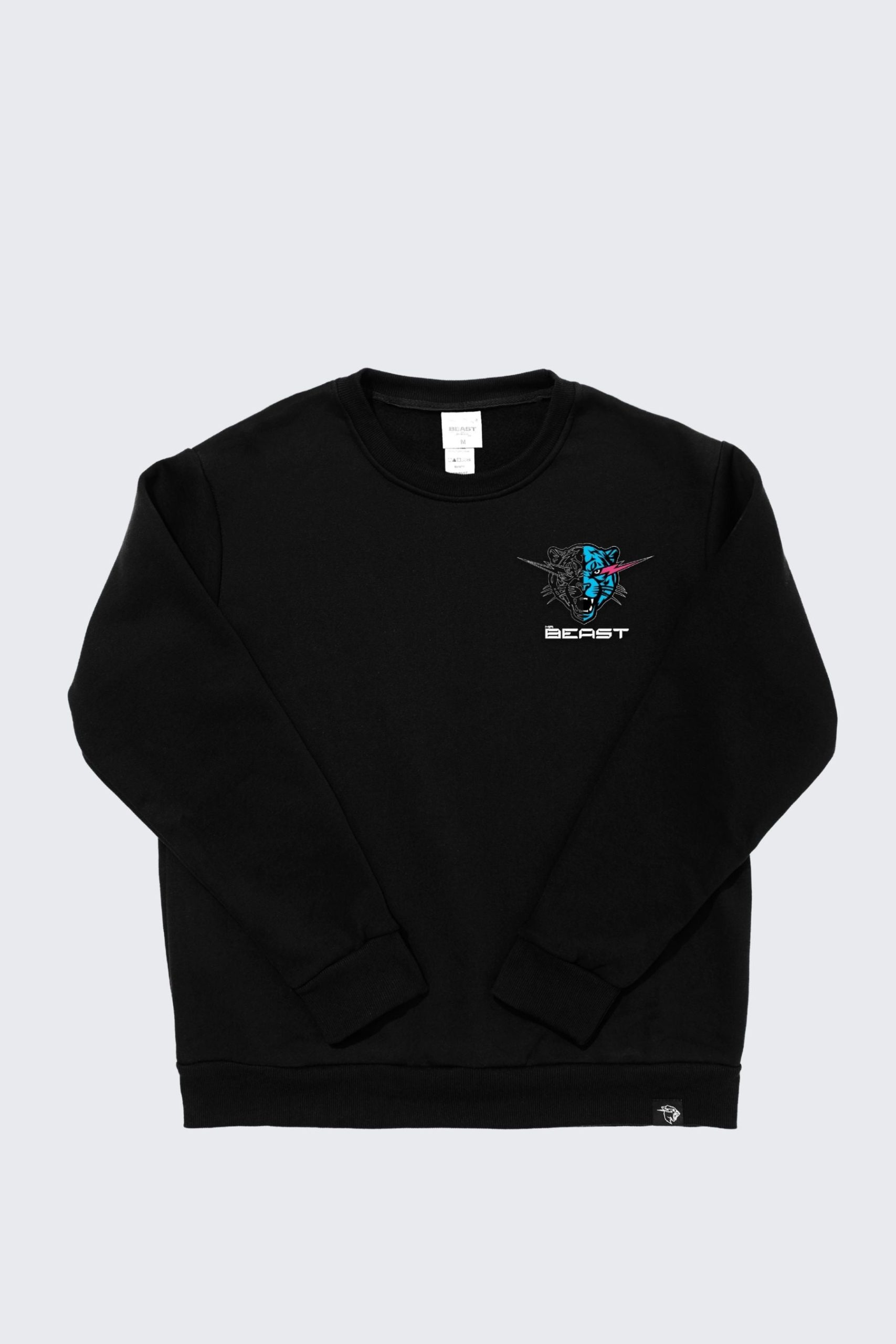 B2S_CLONE_Sweatshirt_FRONT-1.jpg