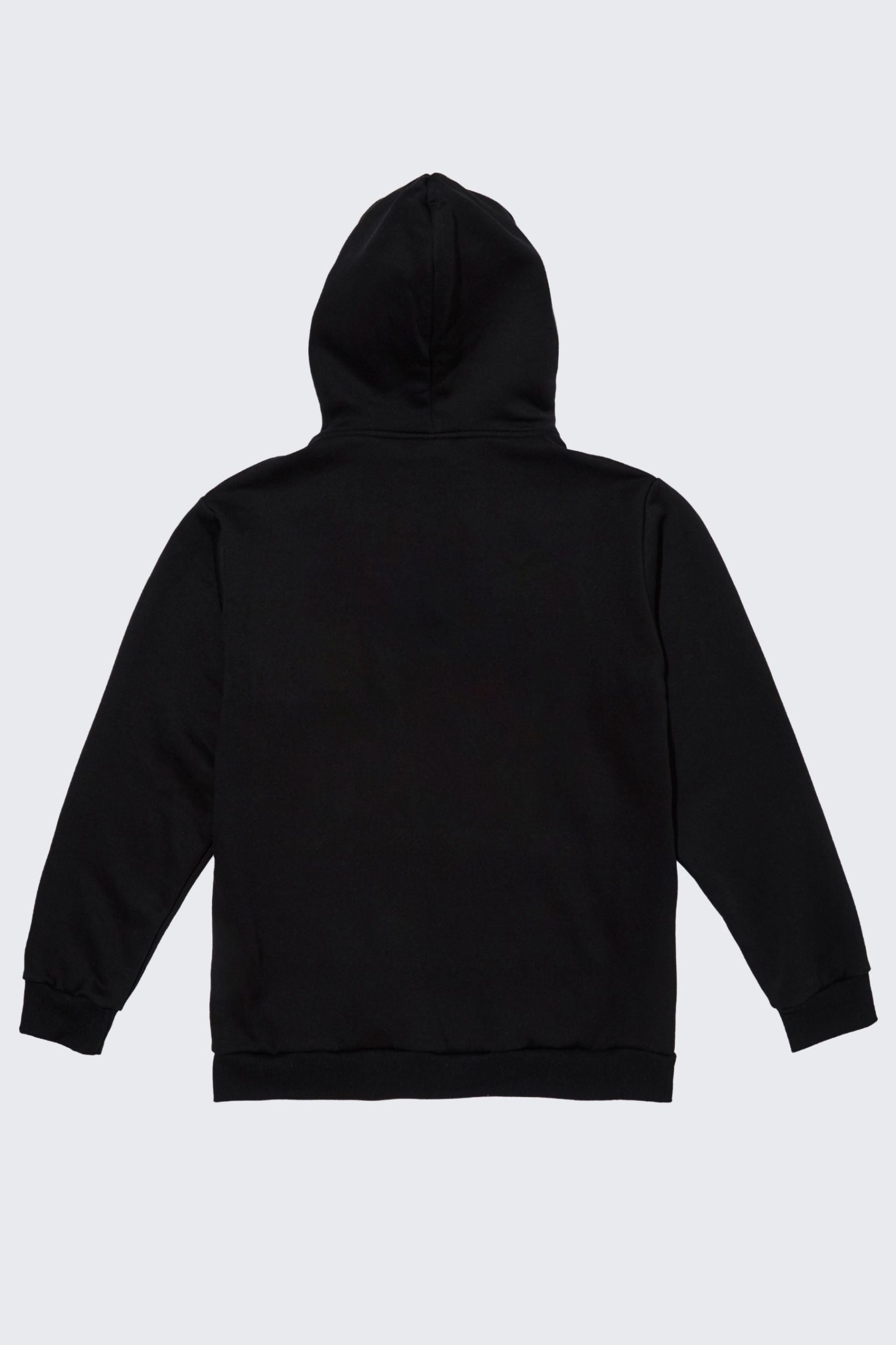 B2S_Hologram_Hood_BLK_BACK-4.jpg