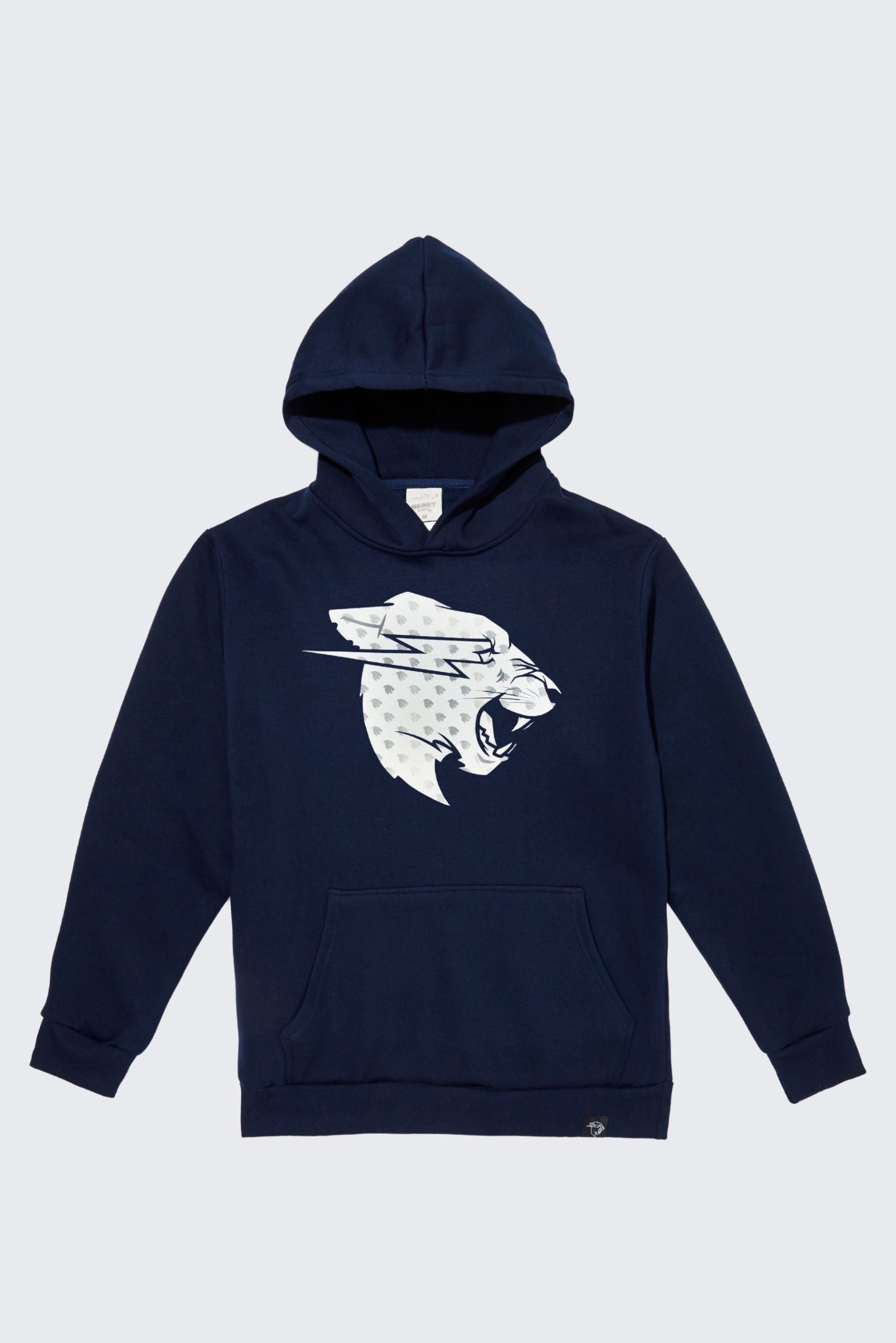 B2S_Hologram_Hood_BLU_FRONT-1.jpg