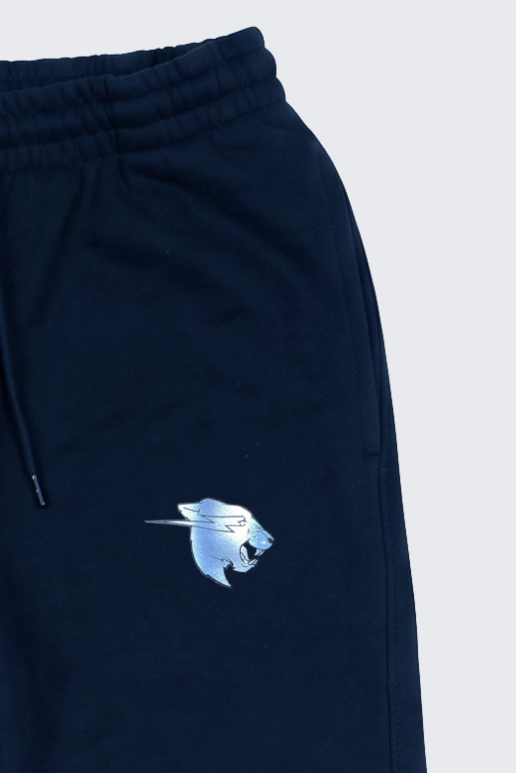 B2S_Hologram_Jogger_BLU_Detail2-1.jpg