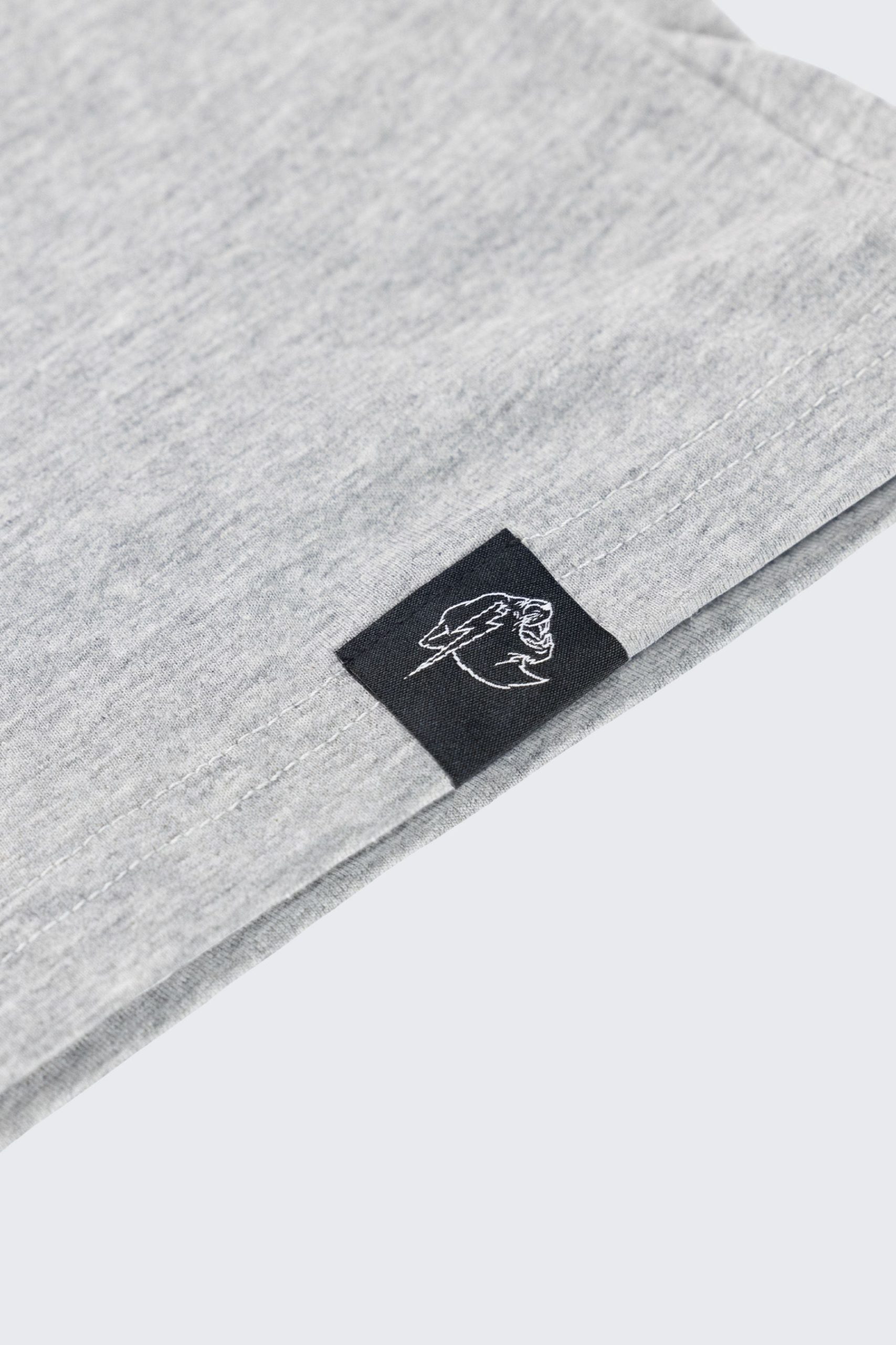 BEAST-FC_SOCCER-CREST-TEE_GRAY_HEM-1.jpg