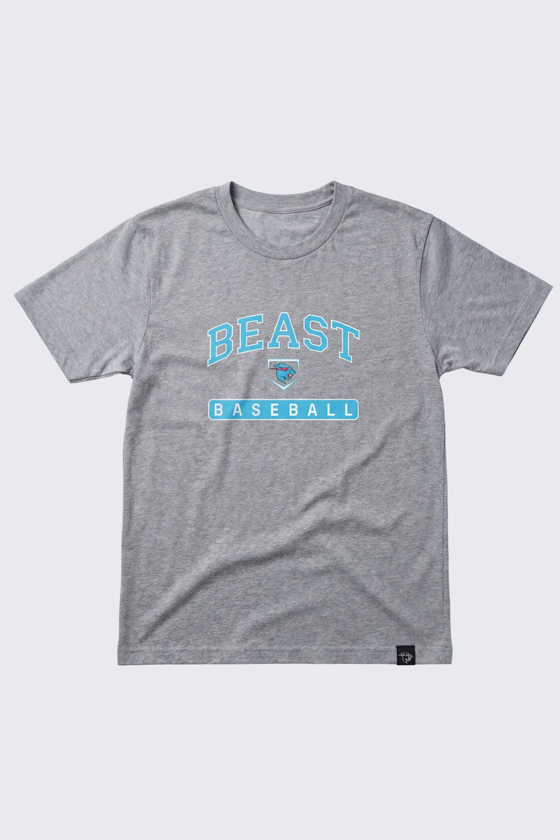 Beast Edition Baseball Tee - SM (6/7) / Heather gray