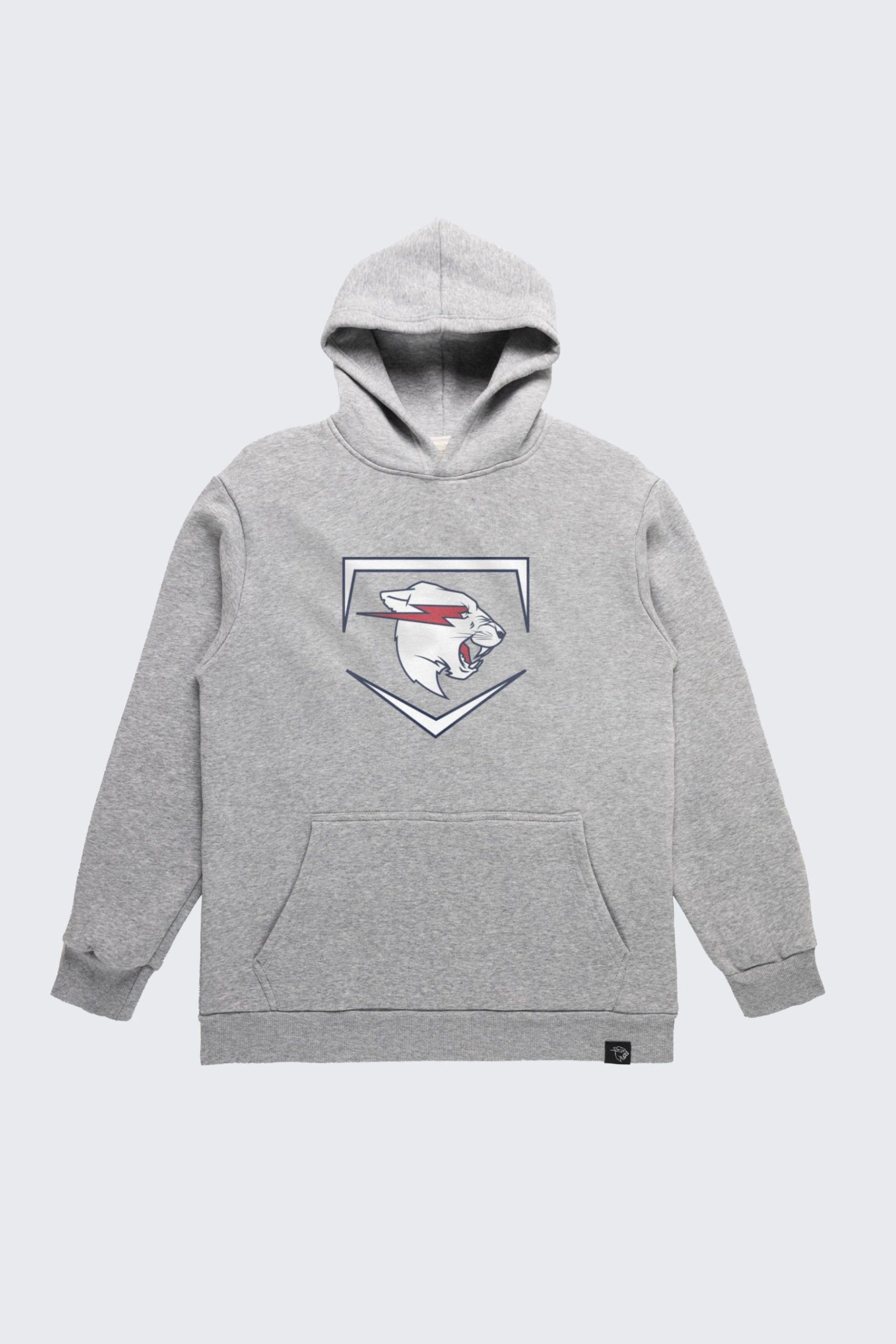 ClassicBeastPlateHoodie_Gray_1-1.jpg