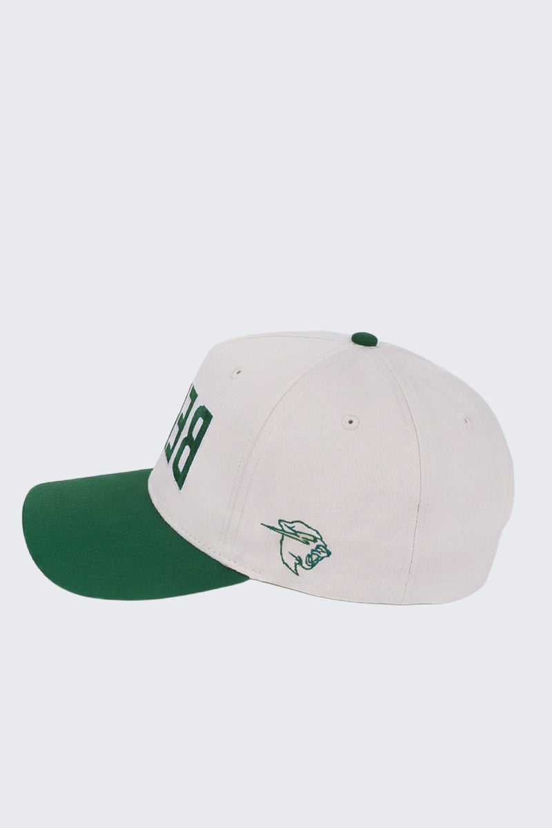 ReverseBeastTwoToneHat_04.jpg