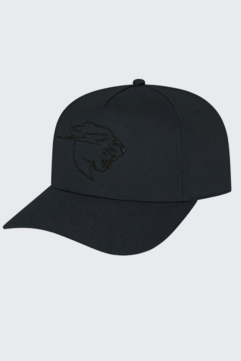 Stealth Panther Hat