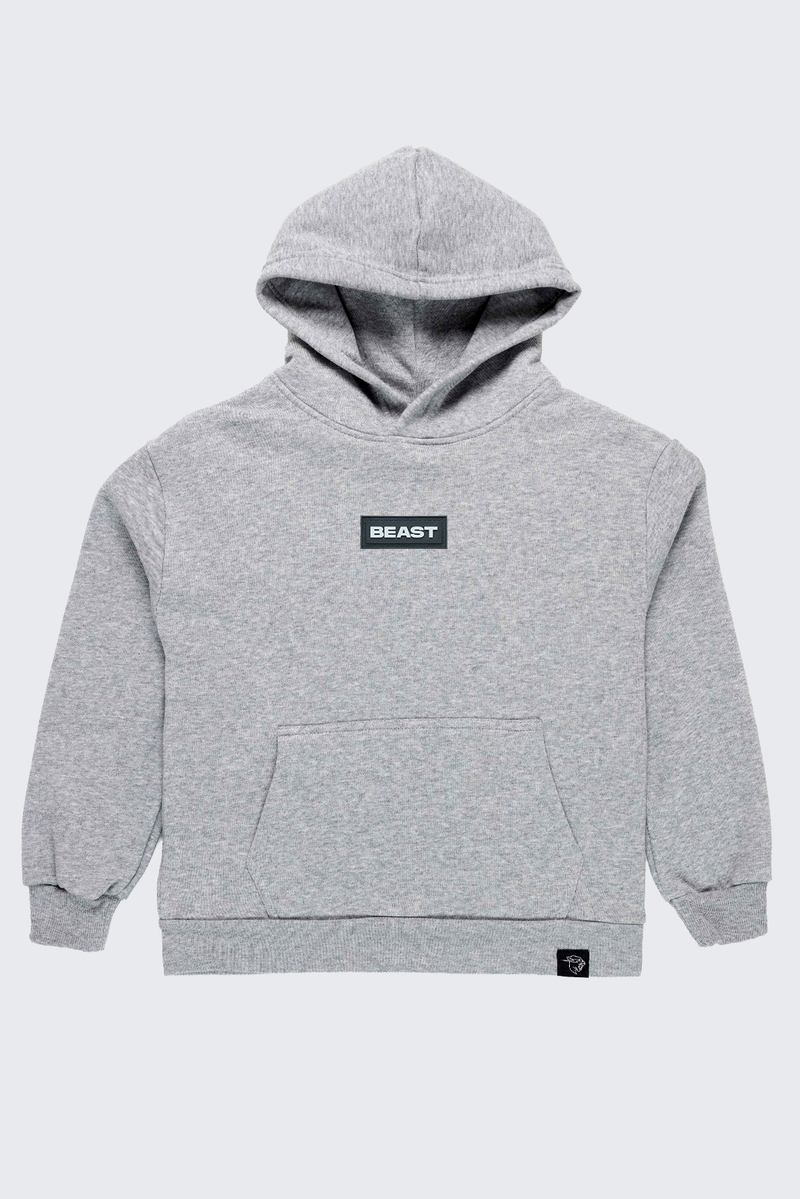 Youth Stealth Hoodie - SM (6/7) / Heather gray